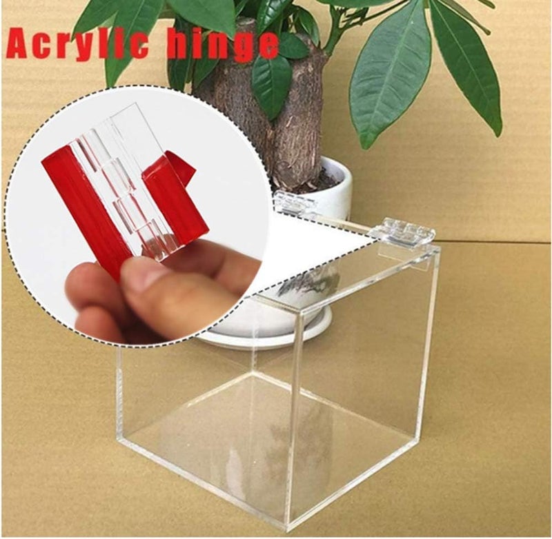 Anyalite مفصلة بيانو شفافة من الأكريليك 45 مم (ذاتية اللصق)، مناسبة لصندوق شفاف DIY، حامل عرض، إلخ. (6) - Image 2
